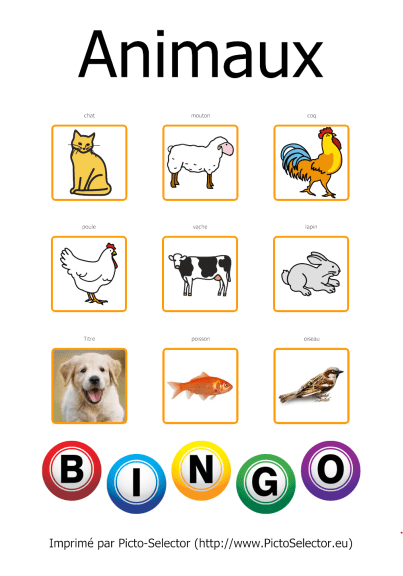Bingo animaux