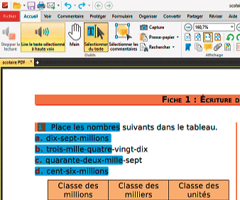 Livre numérique au format PDF, texte sélectionnable