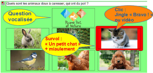 Question vocalisée, actions au survol et au clic de la souris