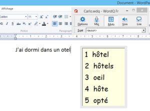 Fenêtre prédictive du logiciel Word Q